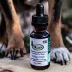 500mg Full-Spectrum CBD Oil for Dogs