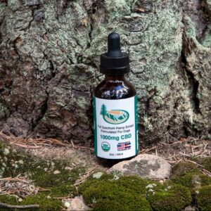 1000mg Organic CBD Tincture for Dogs - Evergreen Natural Pet