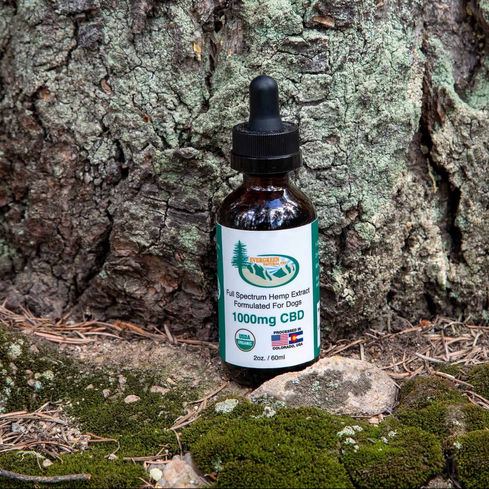 1000mg Organic CBD Tincture for Dogs - Evergreen Natural Pet