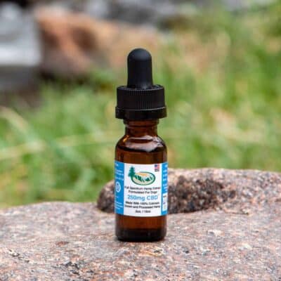 250mb CBD tincture for dogs - Evergreen Natural Pet